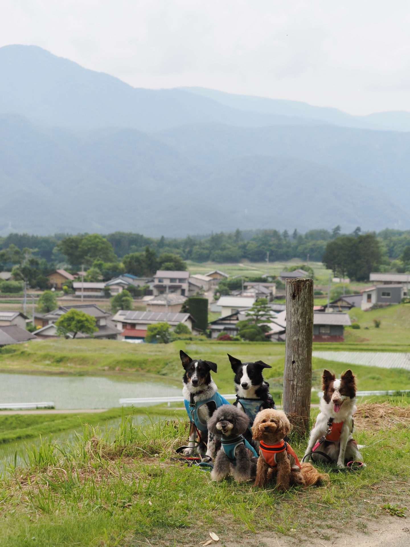 6月8日：グリーントリップ♪ | ひといき荘アウトドアサービス